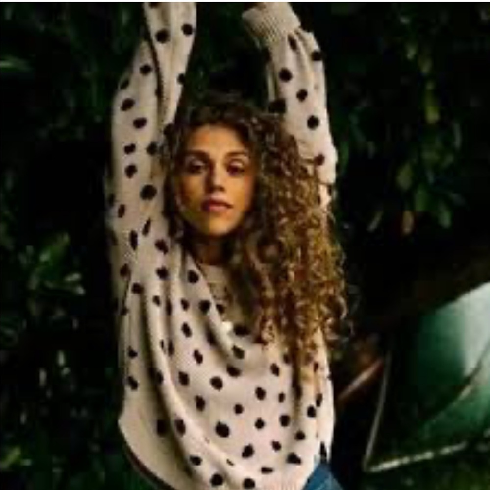 Jackson Rowe Polka Dot Chukar Sweater Umber
